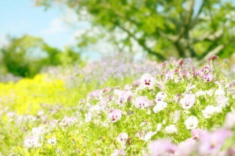 アートライフとは